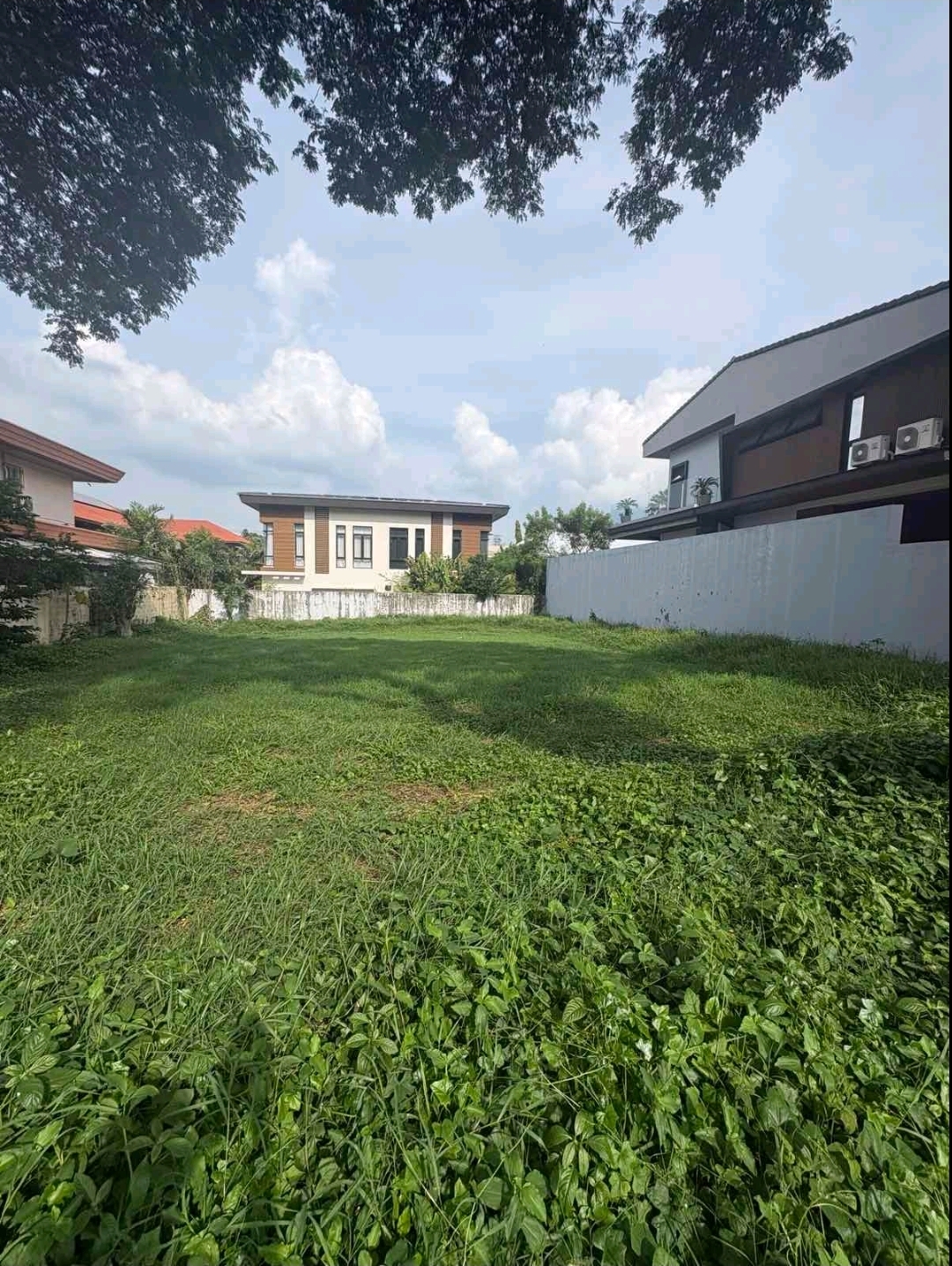 The Ayala Alabang Prime Vacant Lot