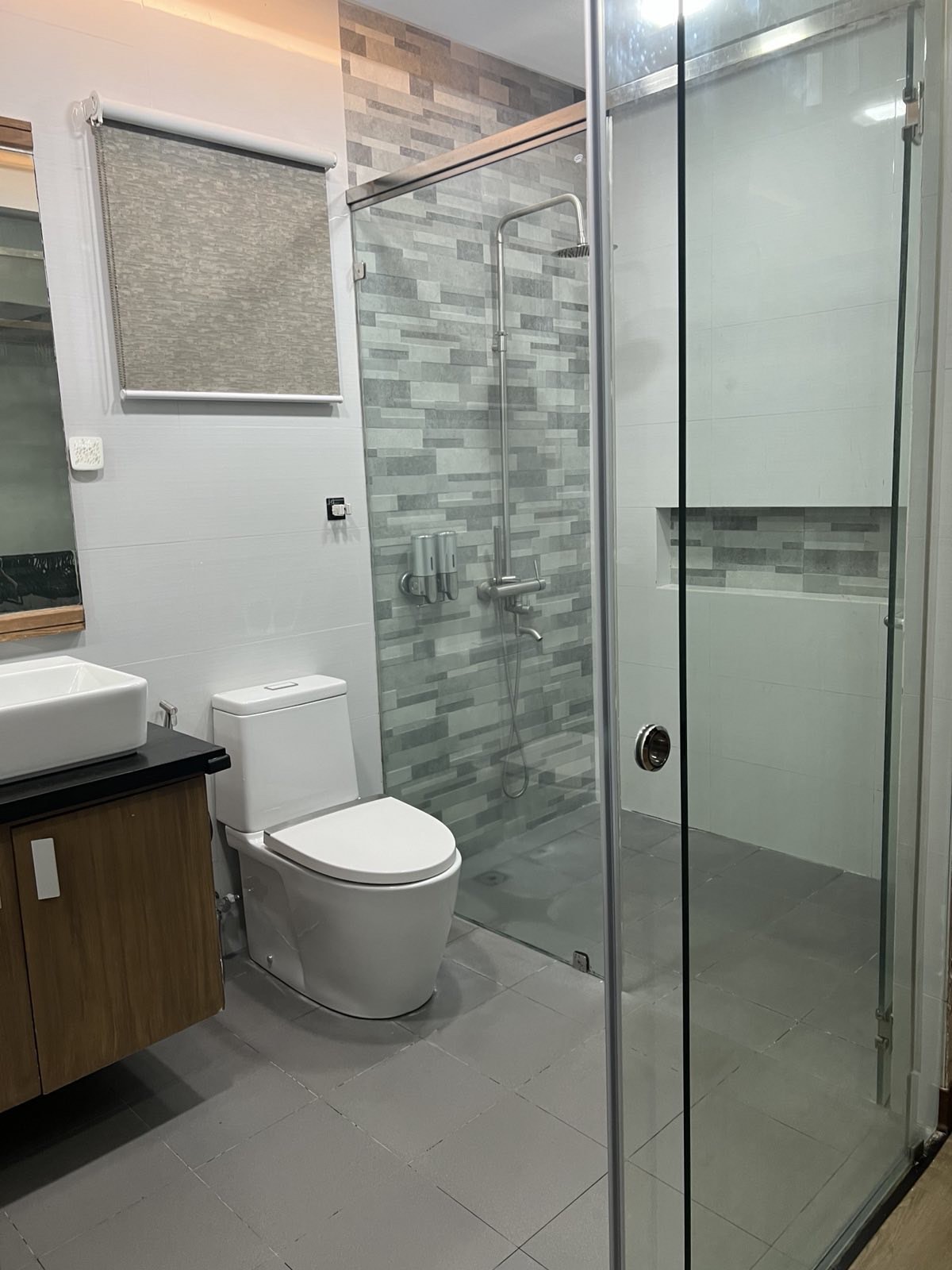 Modern toilet and bath with walk-in glass shower
