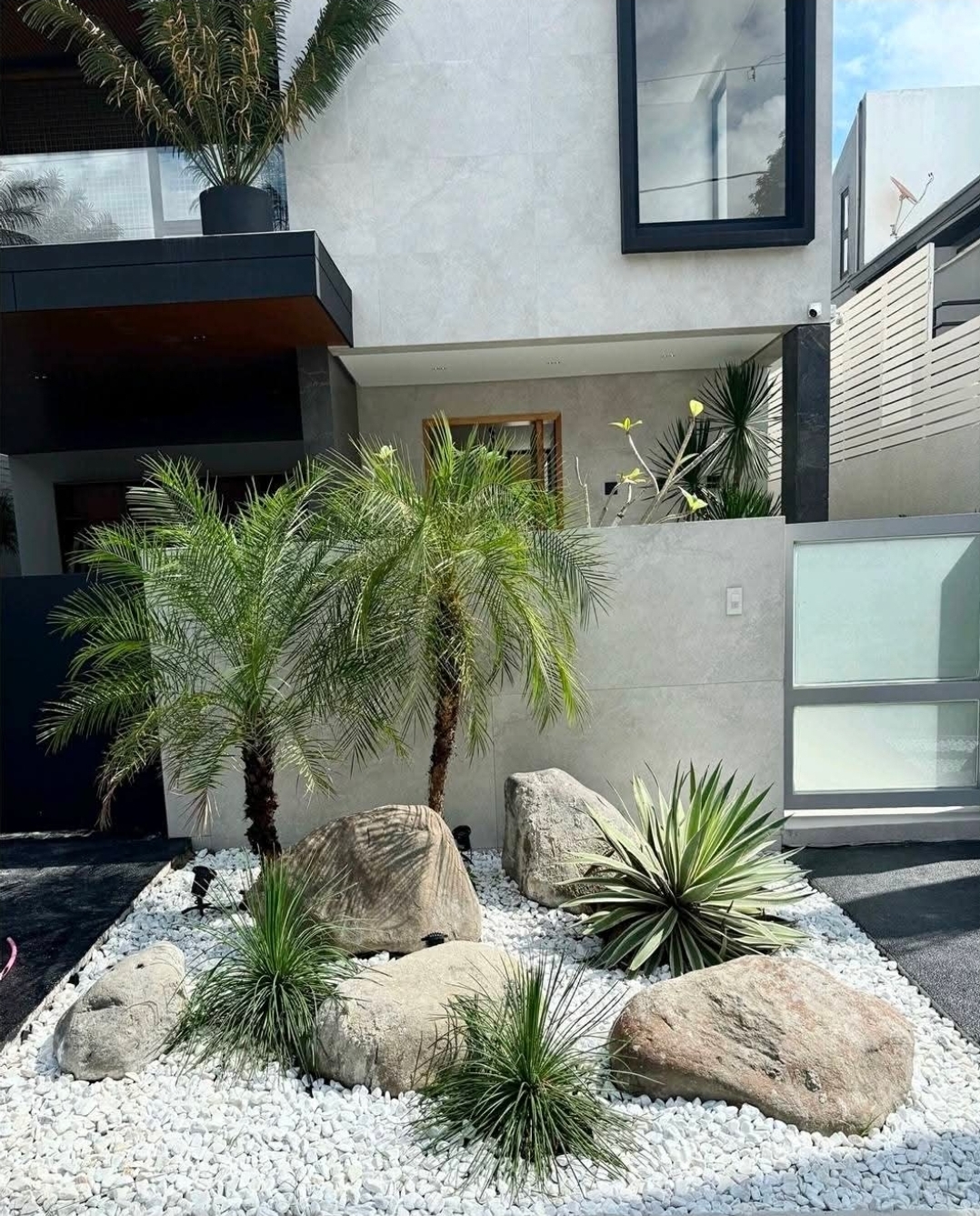 Front rock garden with palms and white pebble bed