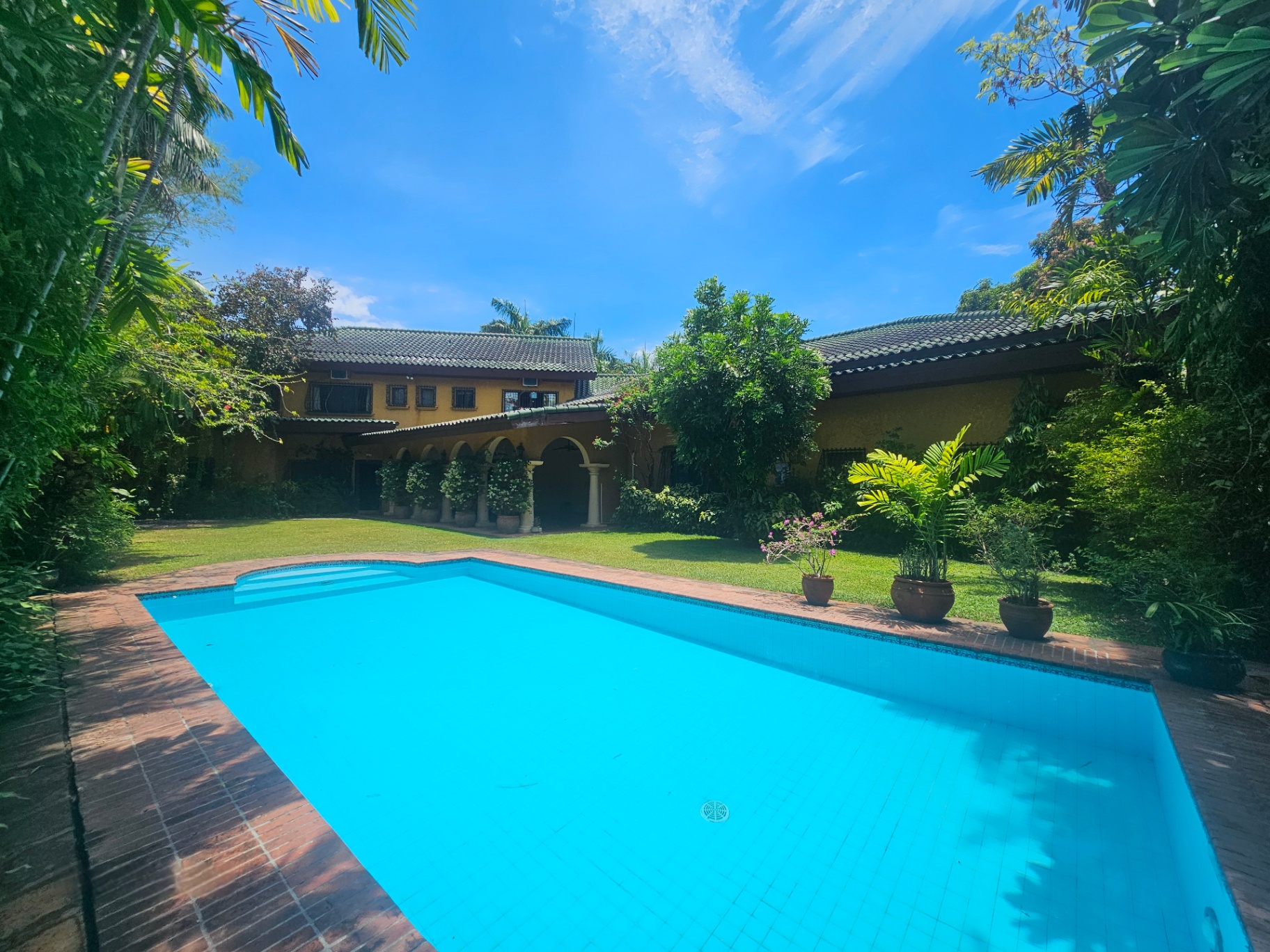 Swimming pool and rear garden facade framed by mature tropical landscaping