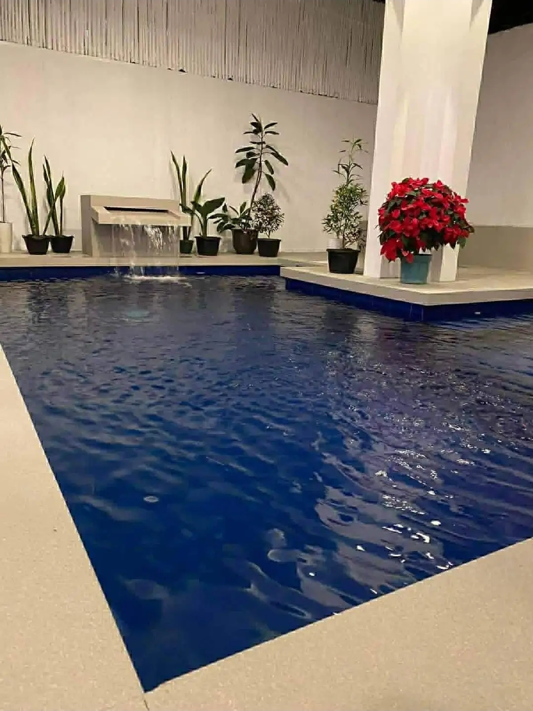 Private swimming pool with cascading water feature and tropical planters